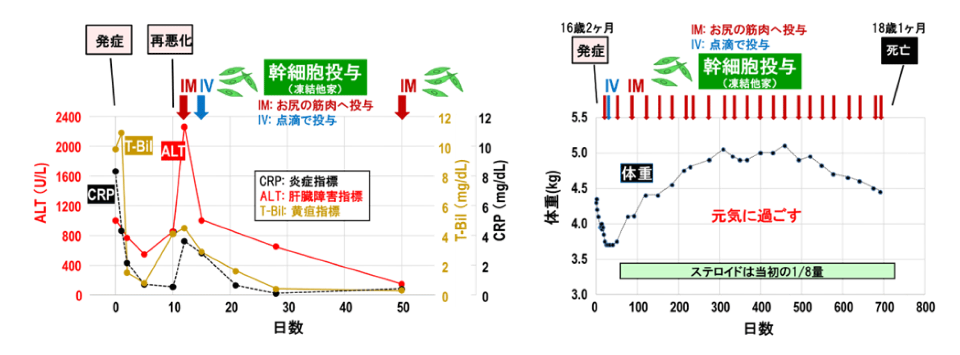 膵炎症例への投与②