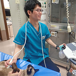獣医師や看護師のご紹介 長野県小諸市のさくら動物病院 スタッフ
