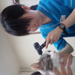 渡辺(Watanabe)