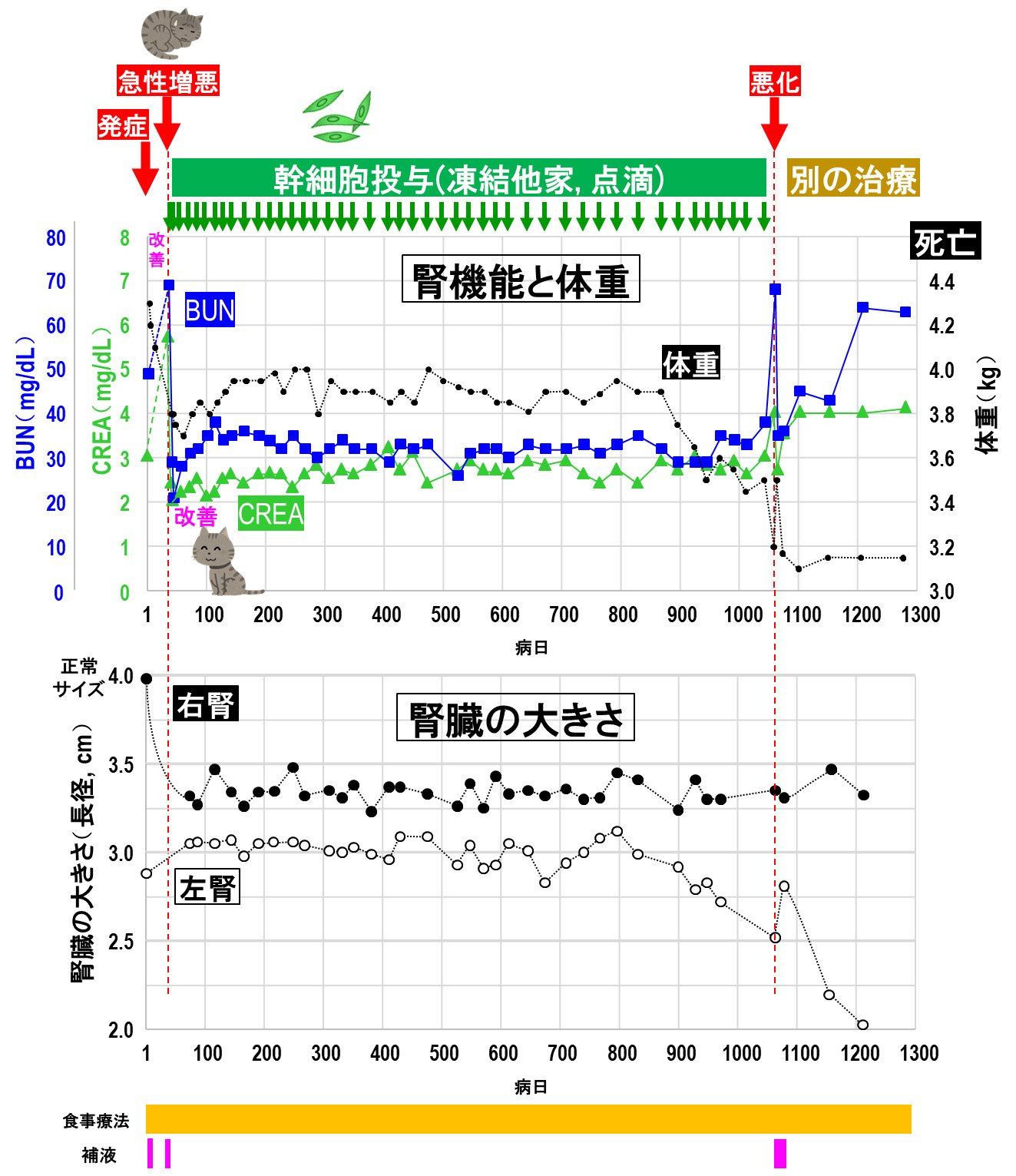 慢性腎臓病症例への投与①