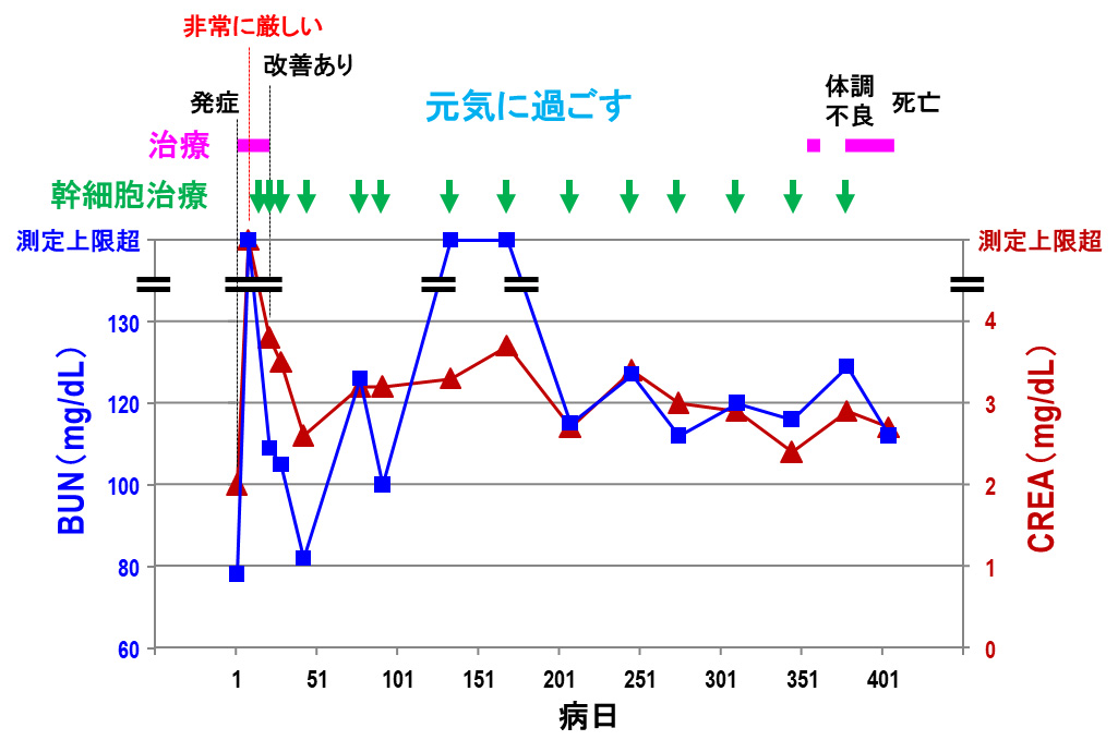 慢性腎臓病症例への投与②