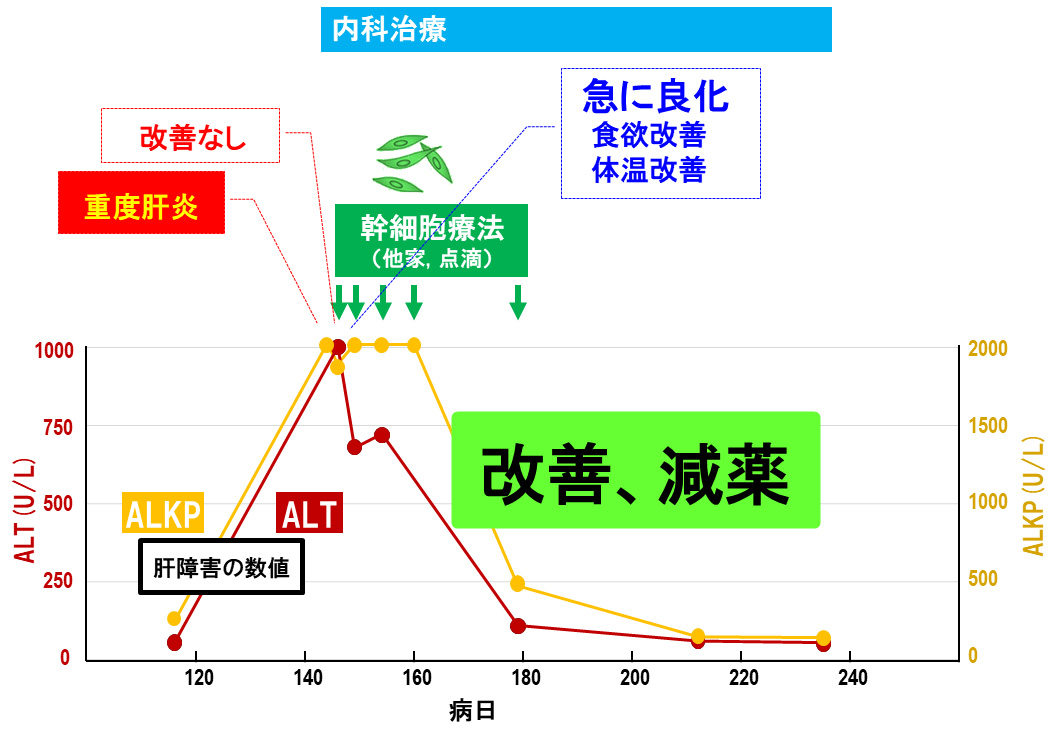 肝疾患症例への投与②