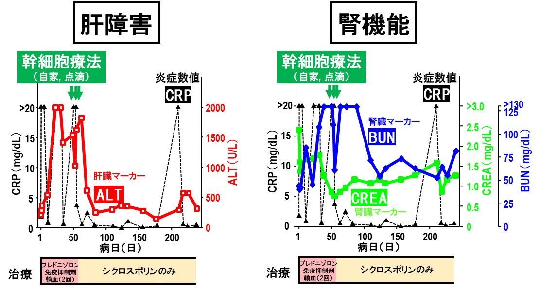 自己免疫疾患・免疫介在性疾患症例への投与③