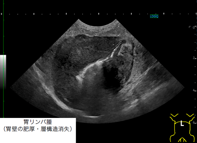 画像診断（X線検査・超音波検査）
