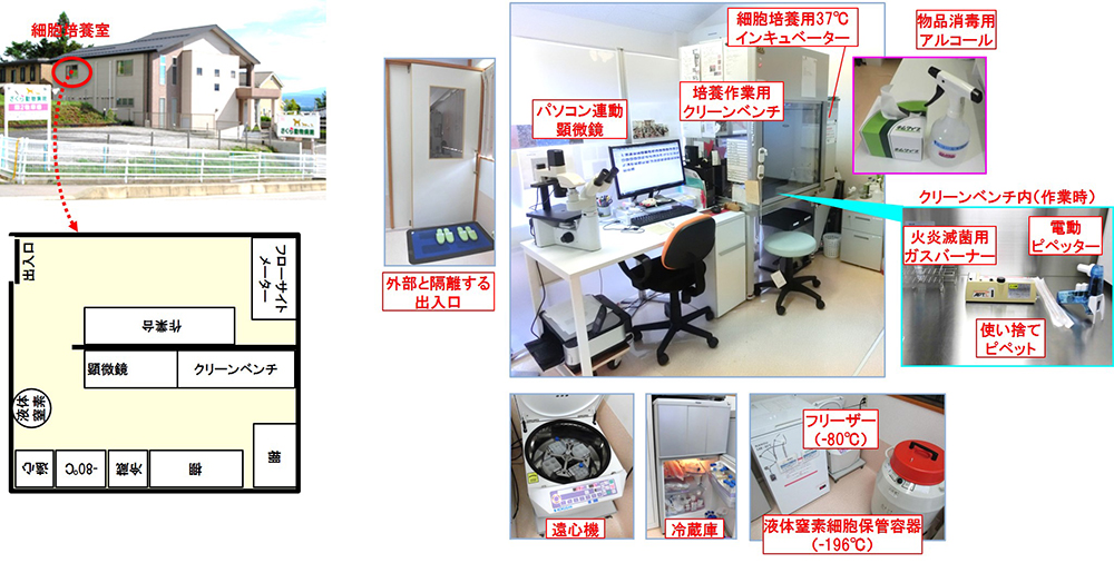 細胞培養のための細胞培養室(クリーンリーム)と設備