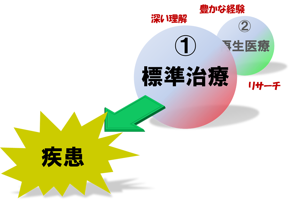 標準治療と再生医療（間葉系幹細胞療法）の位置関係