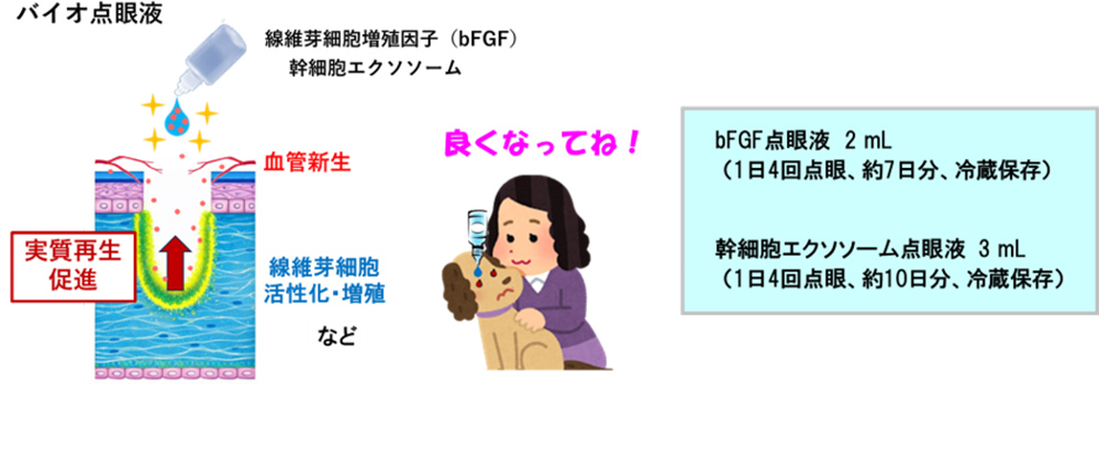 バイオ点眼液
